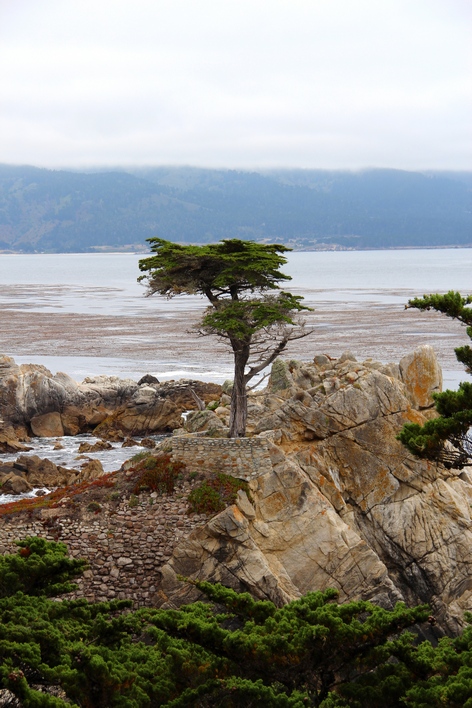 ��������� ����������